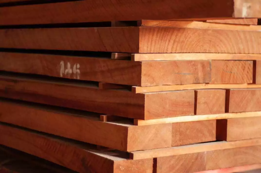 Bois Sapelli Acajou Tunisie CTB La Commerciale Tunisien du Bois