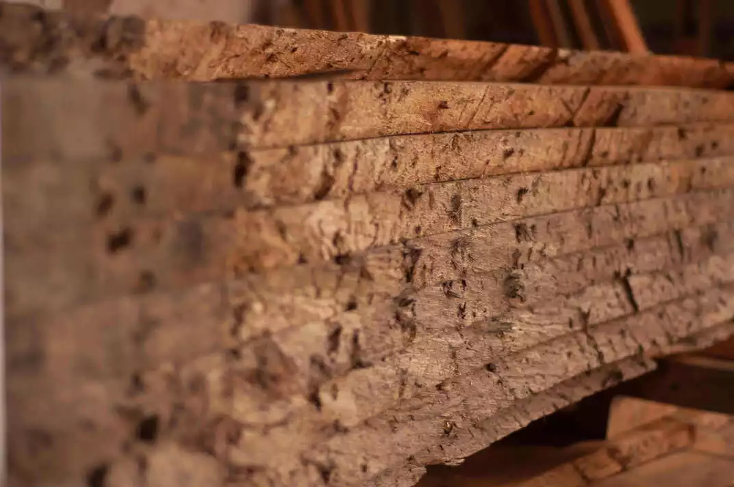 Bois Chene Tunisie CTB La Commerciale Tunisien du Bois