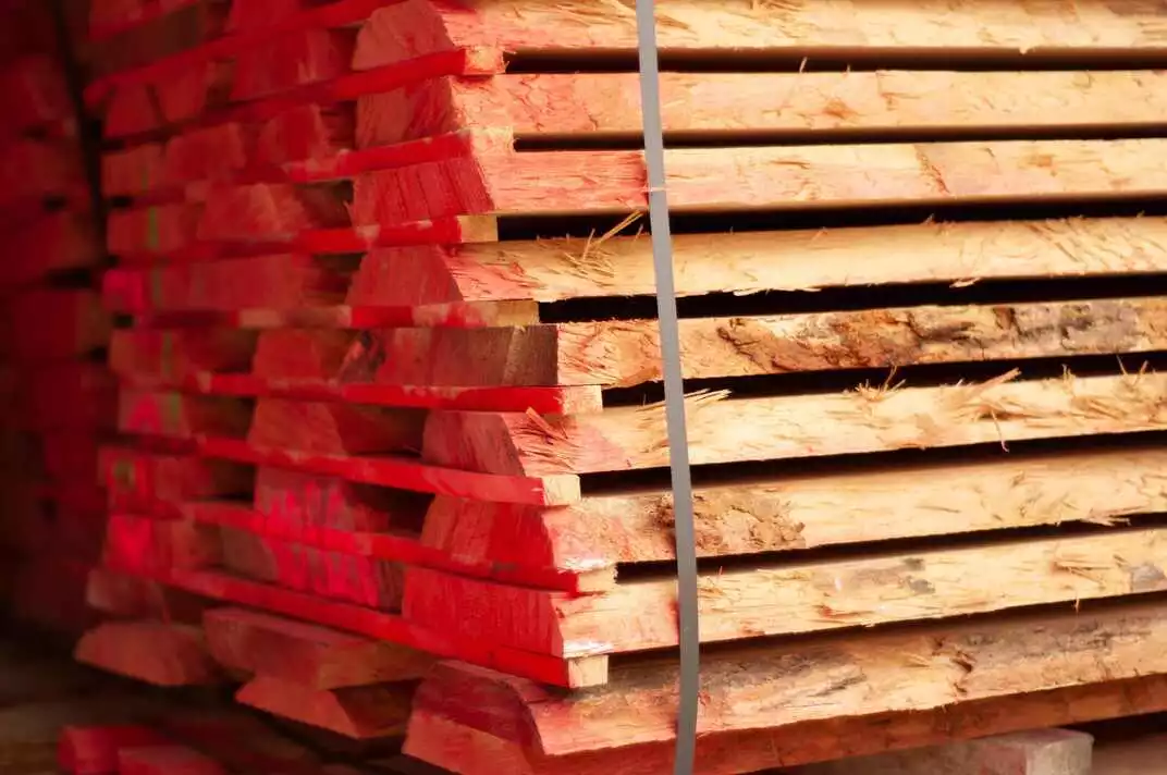 Bois Frene Tunisie CTB La Commerciale Tunisien de Bois