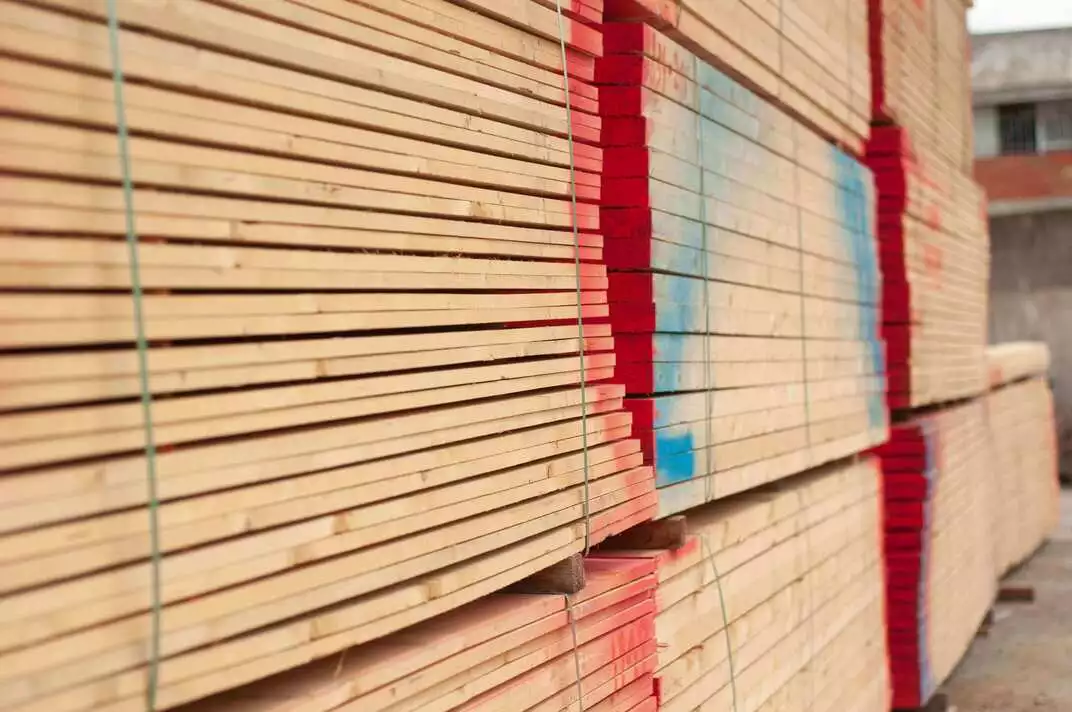 Bois Blanc Tunisie CTB La Commerciale Tunisien du Bois