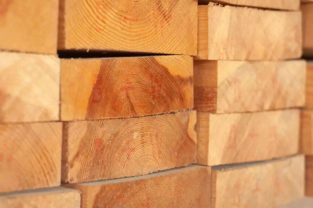 Bois Rouge Tunisie CTB La Commerciale Tunisien du Bois