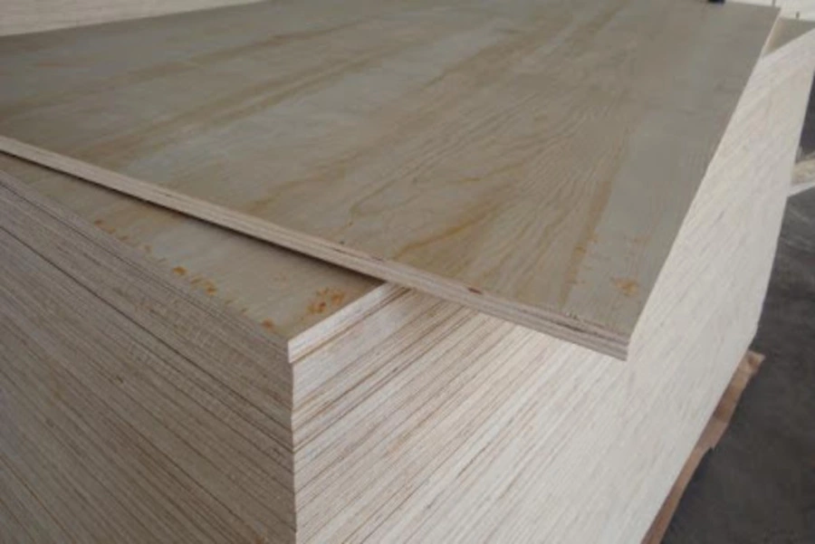 Bois Rouge Tunisie CTB La Commerciale Tunisien du Bois